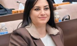 عضو لجنة الاتصالات النيابية فاتن القره غولي تحيل ملف المؤيد للإدعاء العام